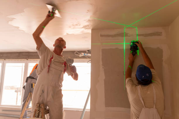 Best Drywall Patching  in Southworth, WA